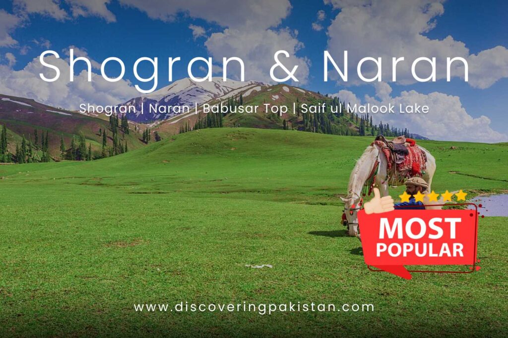 naran private tour