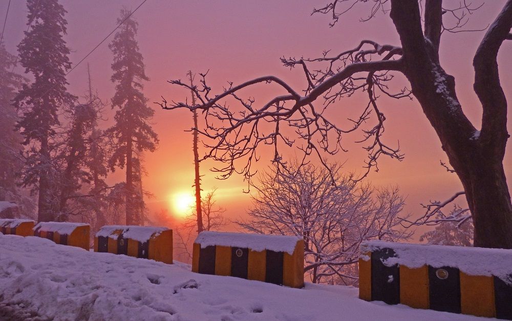 murree tour package