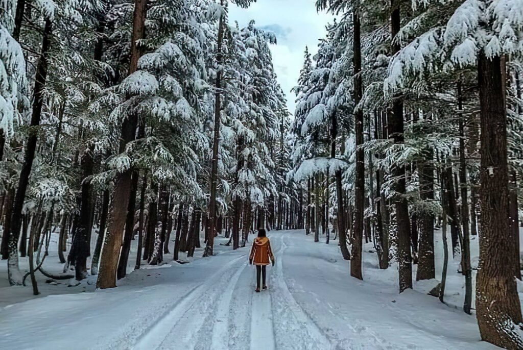 swat kalam malam jabba
