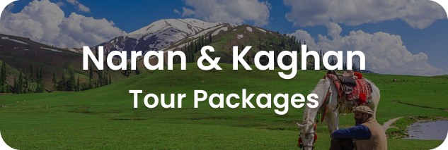 naran and kaghan tours