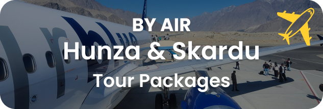 by air tour packages
