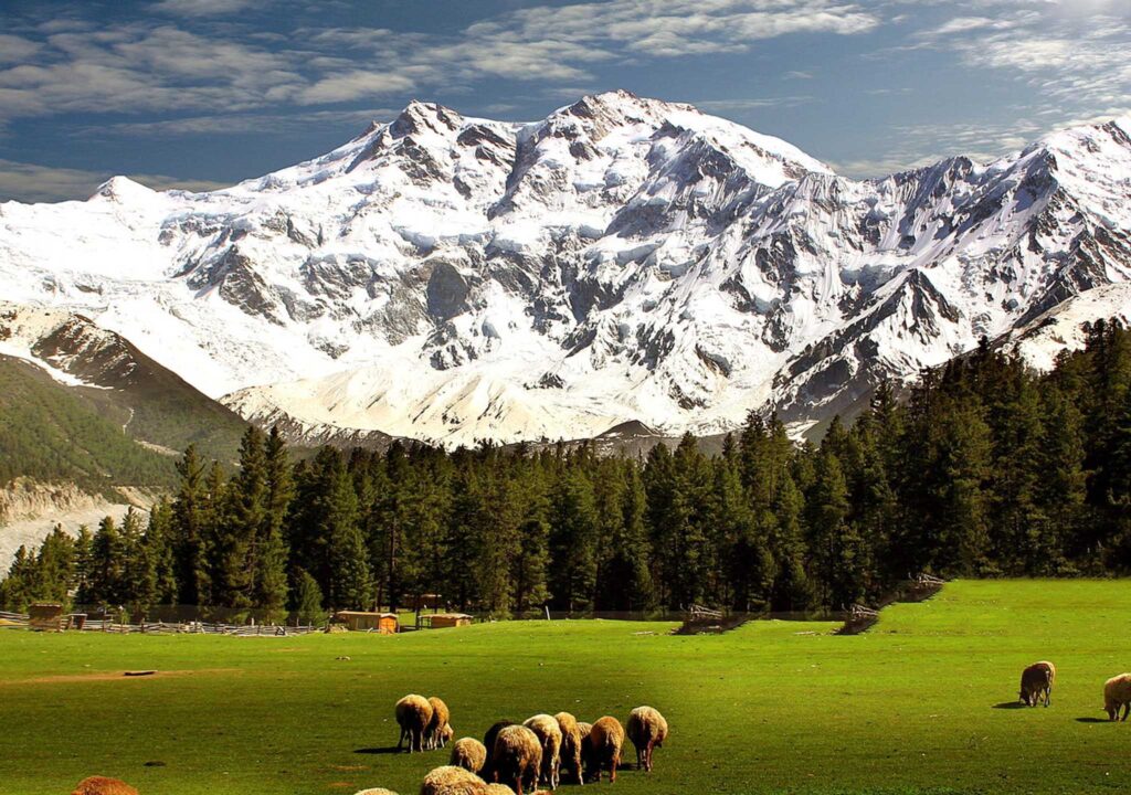 nanga parbat