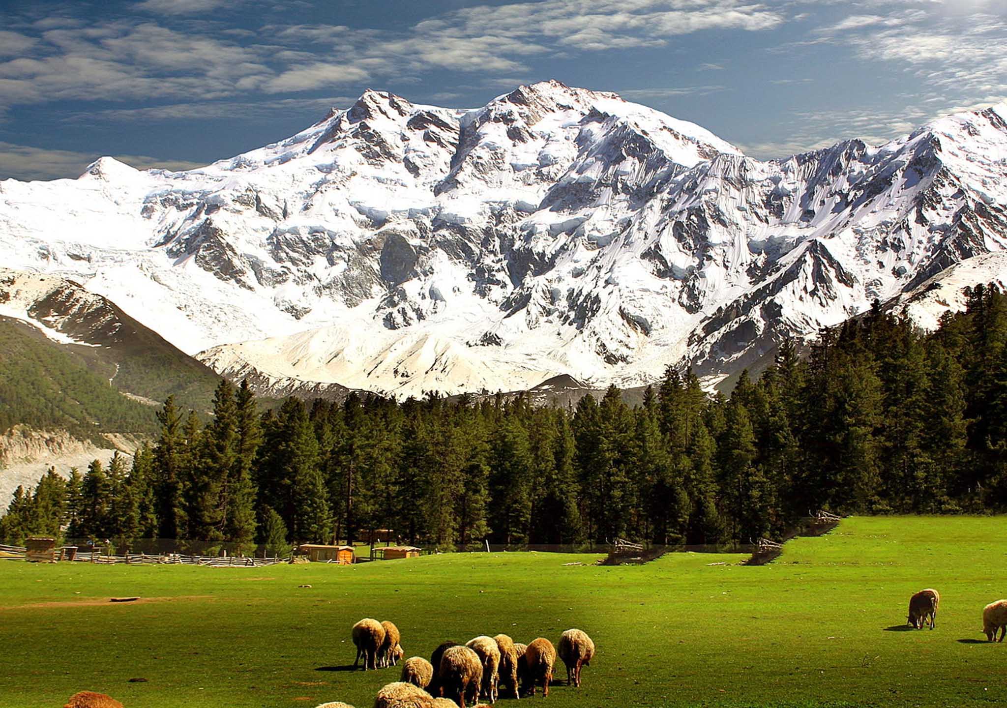nanga parbat