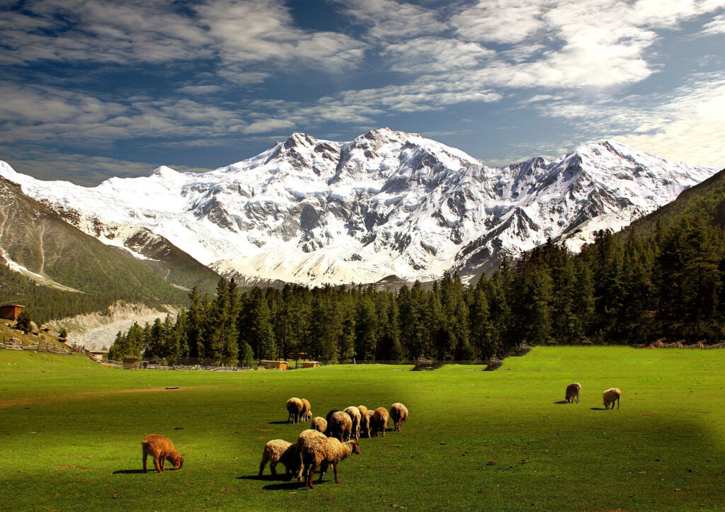 nanga parbat