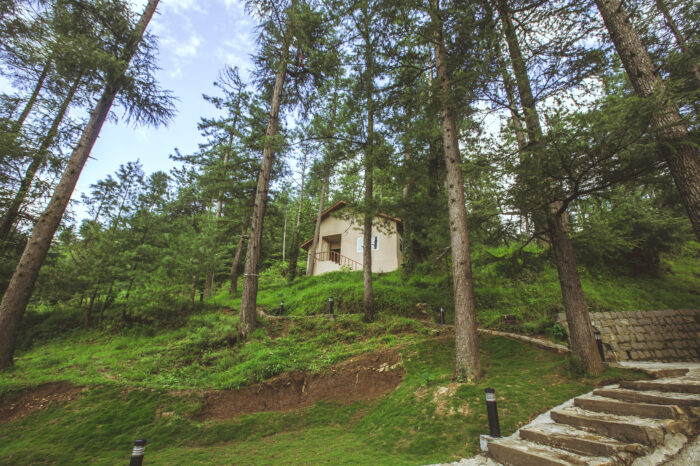 murree trip